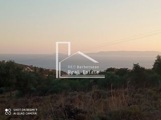 Οικόπεδο 4.670 τ.μ. προς πώληση, Προάστιο Λεύκτρου-thumb-3
