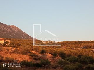 Οικόπεδο 4.670 τ.μ. προς πώληση, Προάστιο Λεύκτρου-thumb-1