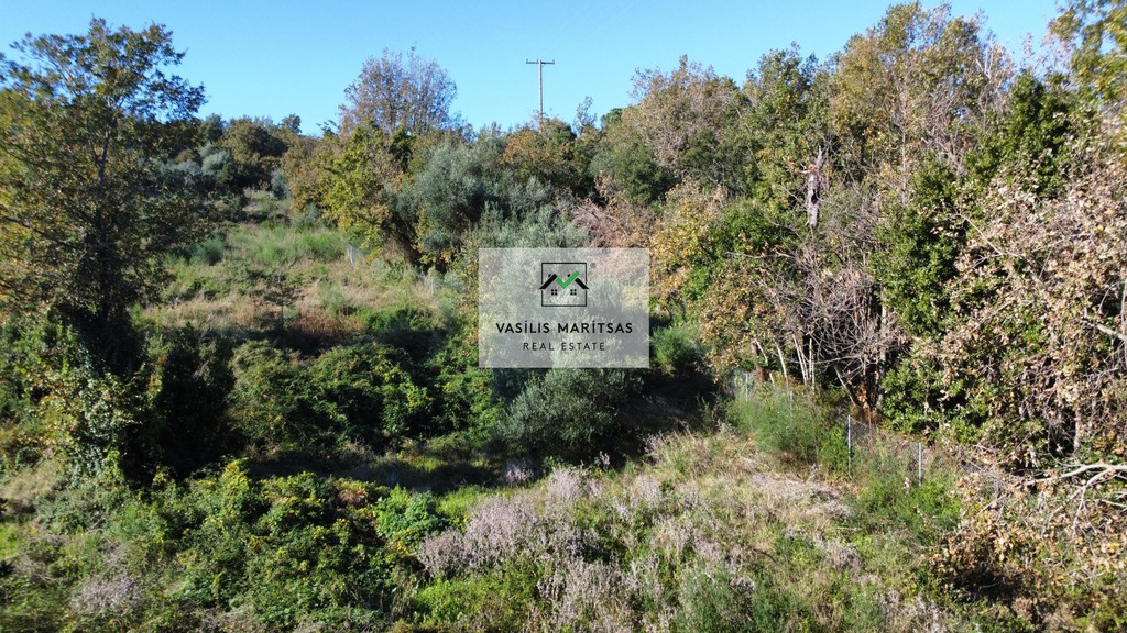 Οικόπεδο 7.399 τ.μ. προς πώληση, Χώρα Κέρκυρας