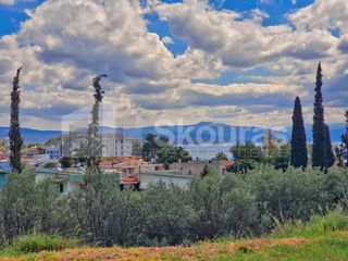 Διαμέρισμα 113,47 τ.μ. για πώληση, Αργολίδα, Ασίνη-thumb-11