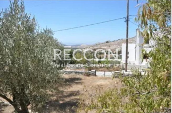 Οικόπεδο 442 τ.μ. για πώληση, Κυκλάδες, Νάξος - Δρυμαλία
