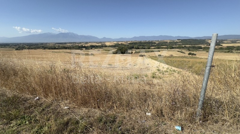 Αγροτεμάχια 13.825 τ.μ. προς πώληση, Σεβαστή