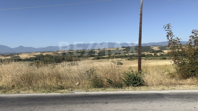 Αγροτεμάχια 13.825 τ.μ. προς πώληση, Σεβαστή