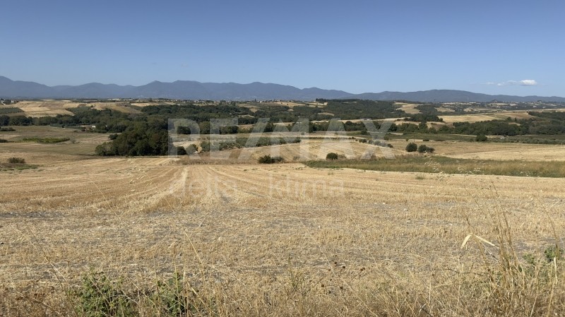 Αγροτεμάχια 13.825 τ.μ. προς πώληση, Σεβαστή