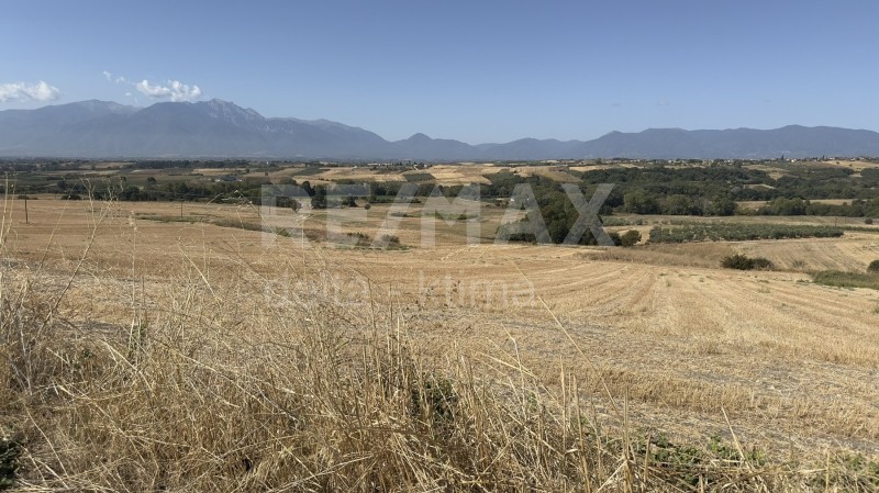 Αγροτεμάχια 13.825 τ.μ. προς πώληση, Σεβαστή