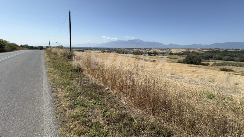 Αγροτεμάχια 13.825 τ.μ. προς πώληση, Σεβαστή