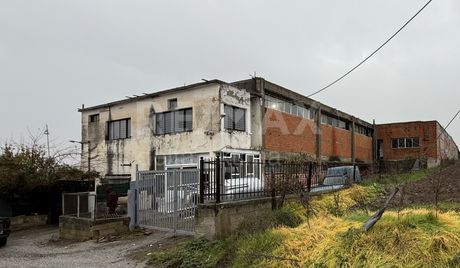 Craft space 700sqm for rent-Larisa » Terpsithea