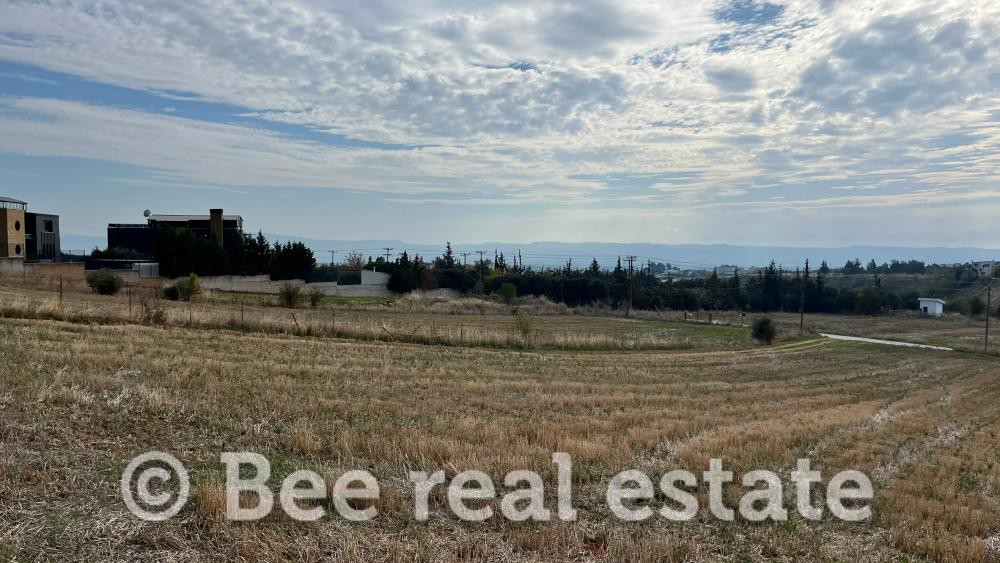 Αγροτεμάχια 4.060 τ.μ. πρός πώληση, Θεσσαλονίκη - Περιφ/Κοί Δήμοι, Πανόραμα