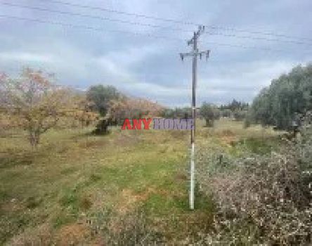 Parcel 74.557 sqm for sale