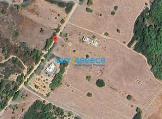 Αγροτεμάχια 1.900 τ.μ. για πώληση