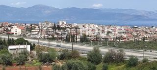 Αγροτεμάχια 6.200 τ.μ. για πώληση