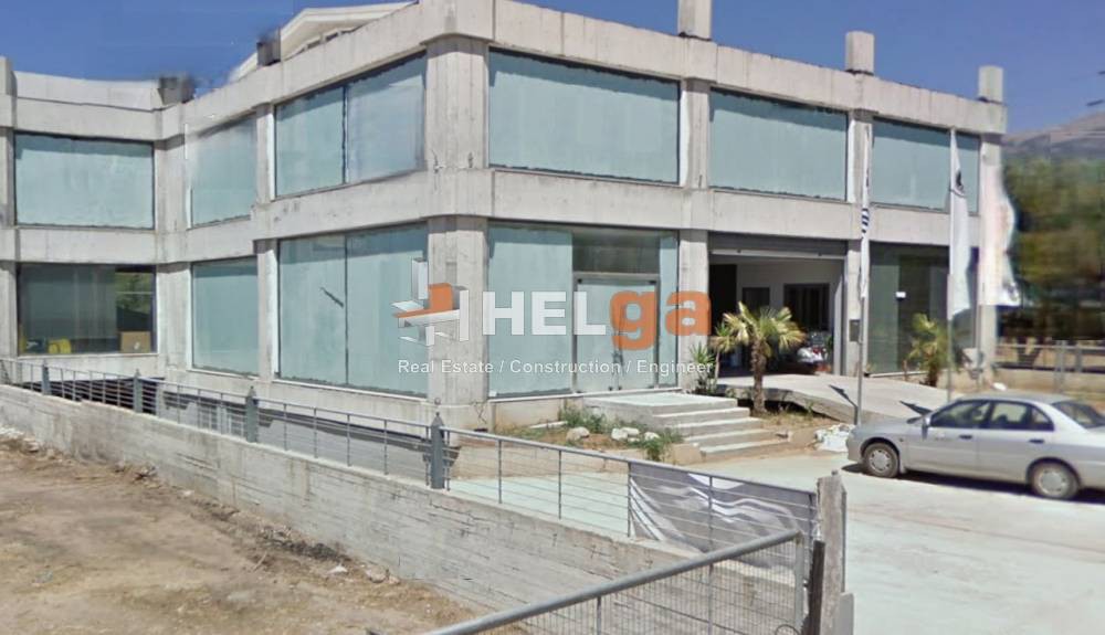 Επιχειρηματικό κτίριο 800 τ.μ. προς ενοικίαση, Δεμένικα