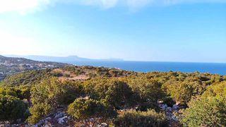 Οικόπεδο 4.115 τ.μ. για πώληση