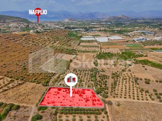 Αγροτεμάχια 4.550 τ.μ. για πώληση