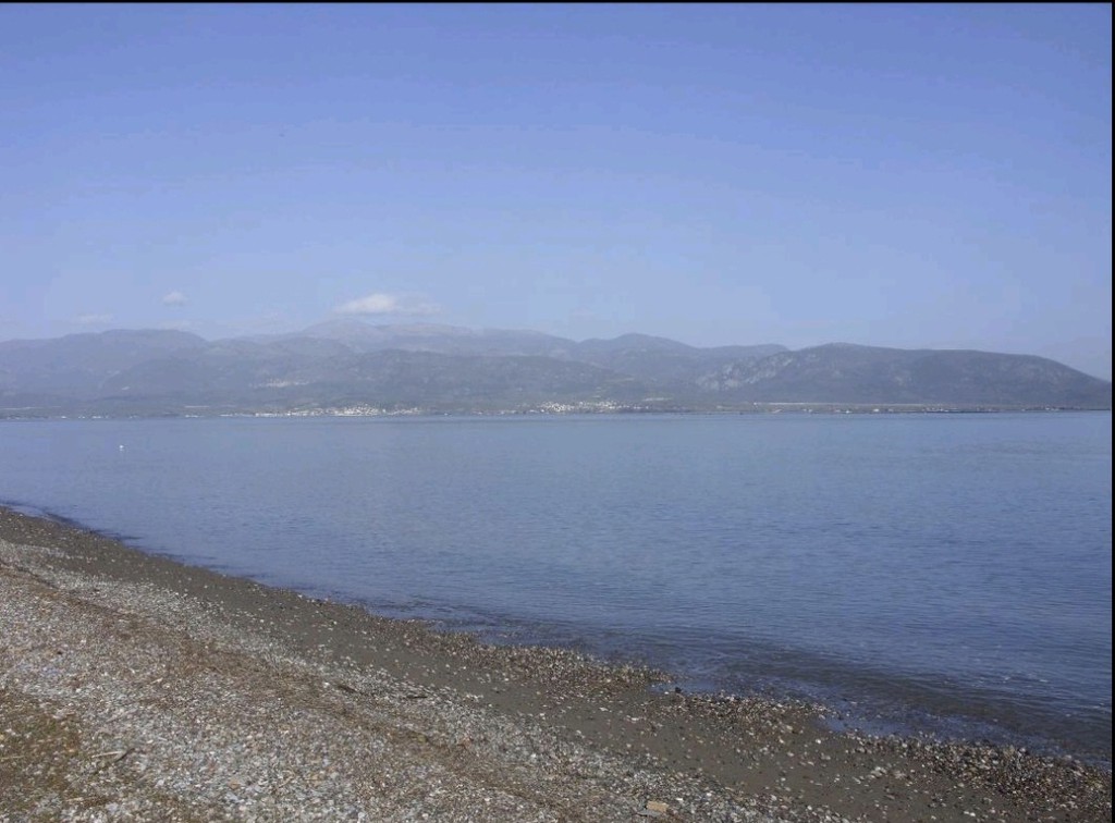 Οικόπεδο 14.600 τ.μ. πρός πώληση, Φθιώτιδας, Καμένα Βούρλα