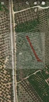 Land plot 14.000 sqm for sale