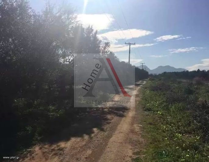 Οικόπεδο 14.000 τ.μ. προς πώληση, Εξαμίλια