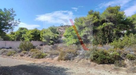 Land plot 1.000 sqm for sale
