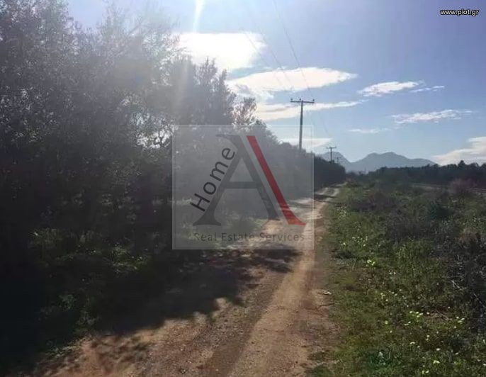 Οικόπεδο 14.000 τ.μ. προς πώληση, Εξαμίλια