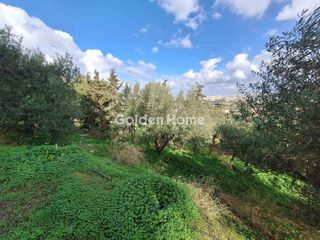 Οικόπεδο 4.300 τ.μ. για πώληση