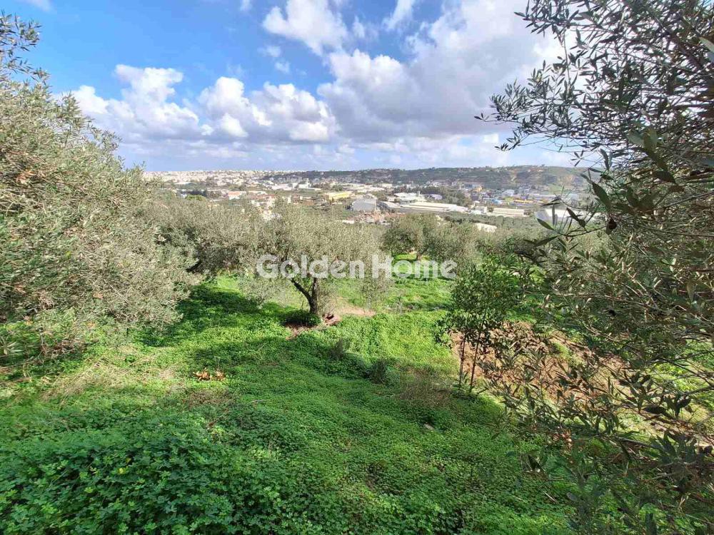 Οικόπεδο 4.300 τ.μ. προς πώληση, Τρεις Βάγιες