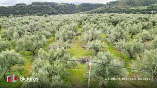 Οικόπεδο 1.527 τ.μ. προς πώληση, Πεταλίδι Μεσσηνίας-thumb-15