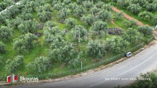 Οικόπεδο 1.527 τ.μ. προς πώληση, Πεταλίδι Μεσσηνίας-thumb-12