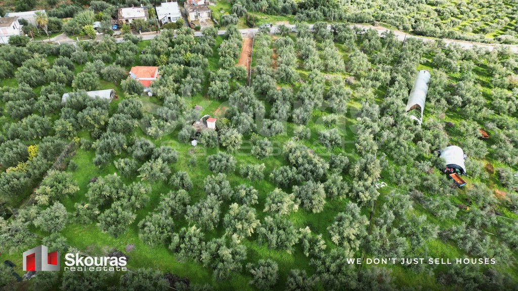 Οικόπεδο 1.527 τ.μ. προς πώληση, Πεταλίδι Μεσσηνίας
