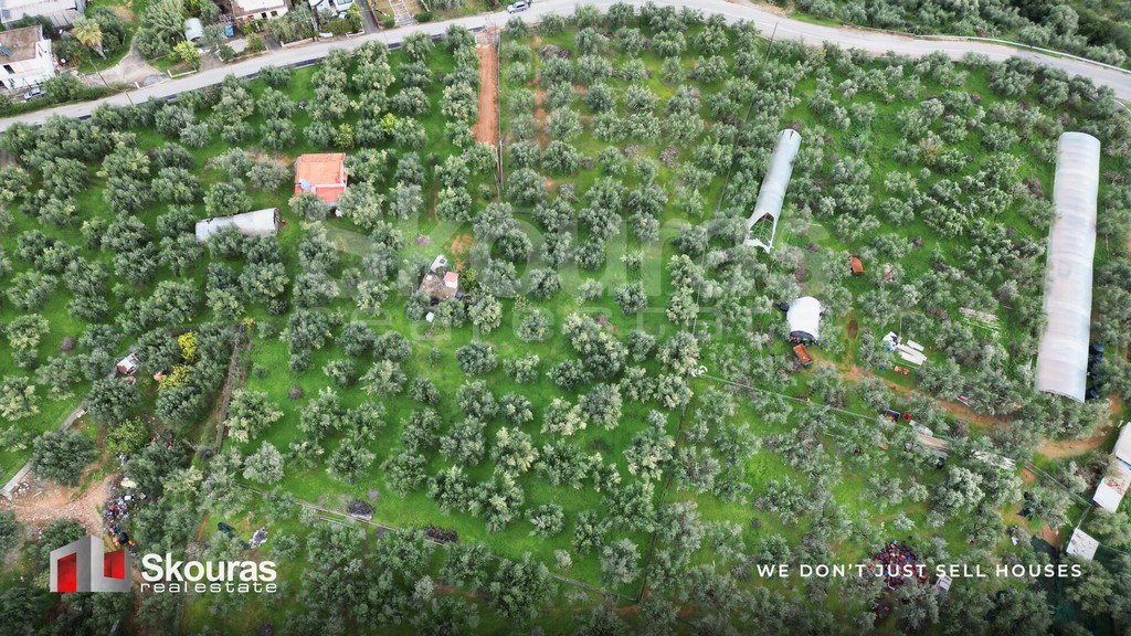 Οικόπεδο 1.527 τ.μ. προς πώληση, Πεταλίδι Μεσσηνίας
