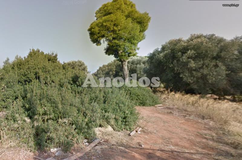 Οικόπεδο 1.587 τ.μ. πρός πώληση, Αθήνα - Ανατολικά Προάστια, Νέα Μάκρη