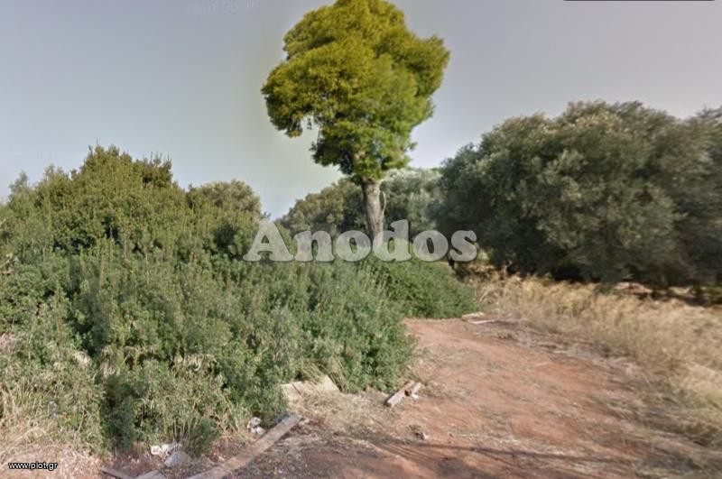Οικόπεδο 1.587 τ.μ. πρός πώληση, Αθήνα - Ανατολικά Προάστια, Νέα Μάκρη