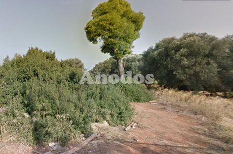 Οικόπεδο 2.070 τ.μ. προς πώληση