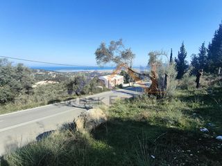 Αγροτεμάχια 1.883 τ.μ. για πώληση