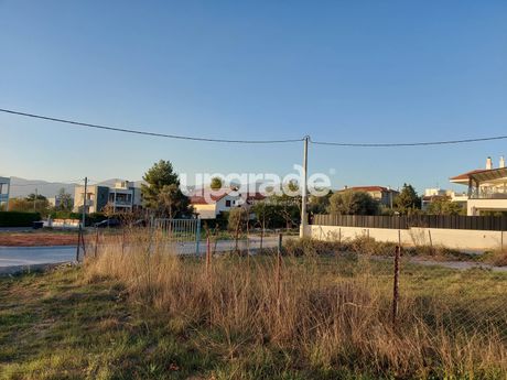 Οικόπεδο 505 τ.μ. πρός πώληση