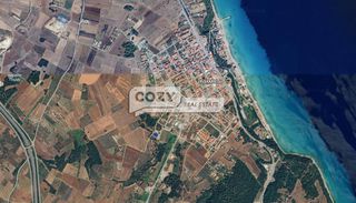 Αγροτεμάχια 20.000 τ.μ. για πώληση