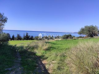 Οικόπεδο 23.000 τ.μ. για πώληση