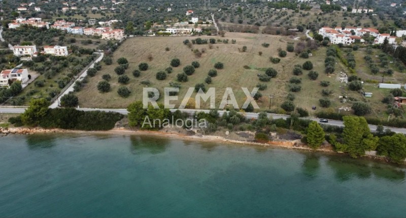 Αγροτεμάχια 74.557 τ.μ. προς πώληση, Μαγούλα Ερέτριας