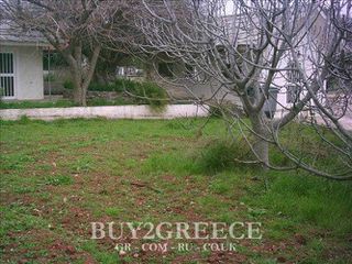 Οικόπεδο 5.000 τ.μ. για πώληση, Εύβοια, Ερέτρια-thumb-10