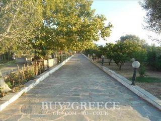 Οικόπεδο 5.000 τ.μ. για πώληση
