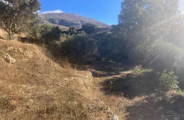 Οικόπεδο 1.194 τ.μ. πρός πώληση, Ν. Ρεθύμνου, Φοινίκας