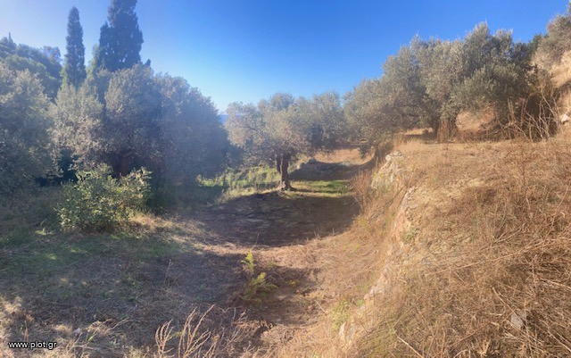 Οικόπεδο 1.194 τ.μ. πρός πώληση, Ν. Ρεθύμνου, Φοινίκας