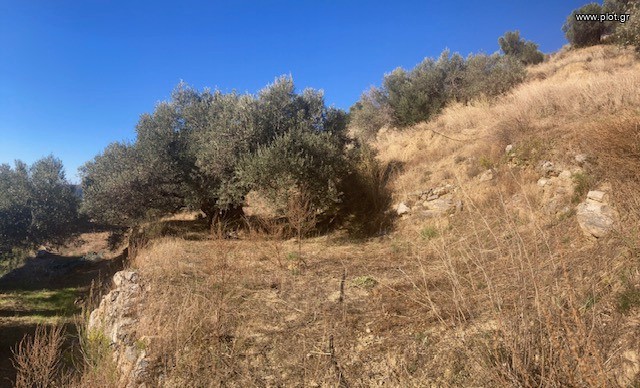 Οικόπεδο 1.194 τ.μ. πρός πώληση, Ν. Ρεθύμνου, Φοινίκας