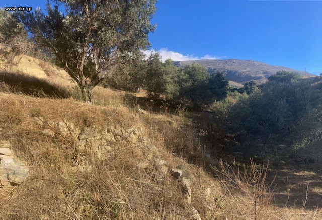 Οικόπεδο 1.194 τ.μ. πρός πώληση, Ν. Ρεθύμνου, Φοινίκας