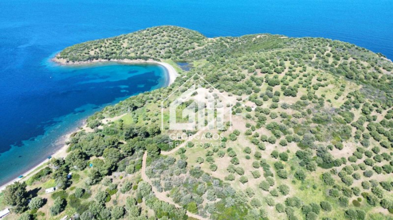 Αγροτεμάχια 8.000 τ.μ. προς πώληση, Παλιούρι Παλλήνης