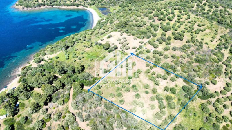 Αγροτεμάχια 8.000 τ.μ. προς πώληση, Παλιούρι Παλλήνης