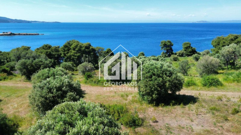 Αγροτεμάχια 8.000 τ.μ. προς πώληση, Παλιούρι Παλλήνης