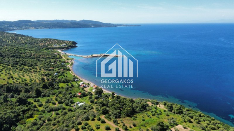 Αγροτεμάχια 8.000 τ.μ. προς πώληση, Παλιούρι Παλλήνης