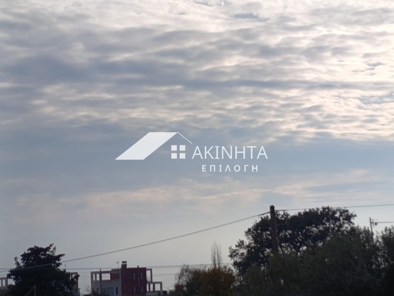 Μονοκατοικία 140 τ.μ. πρός πώληση, Εβρος, Αλεξανδρούπολη