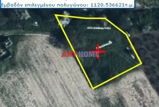 Αγροτεμάχια 1.120 τ.μ. για πώληση