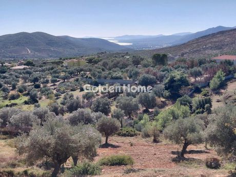 Οικόπεδο 4.110 τ.μ. για πώληση